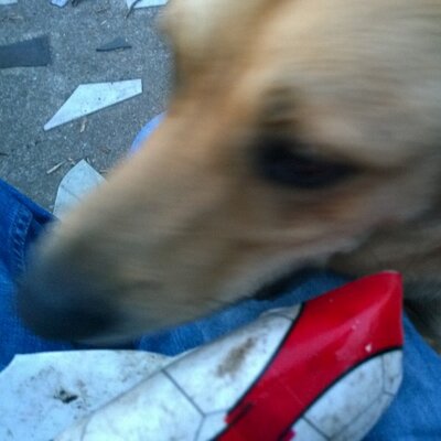 Profile Picture of Michael Naumann (@michael_micnau) on Twitter