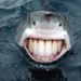 Profile Picture of Chad Bergen (@bergenchad) on Pinterest