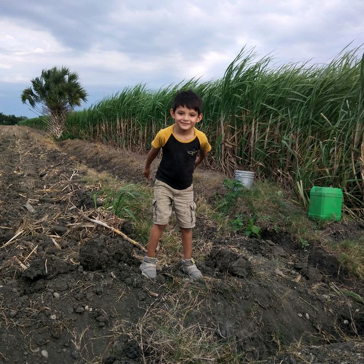 jordanlaguna11 - Tiktok Profile Picture of jordanlaguna11 (@jordanlaguna11) on Tiktok