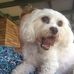 Profile Picture of Valerie Buckley (@valerie.buckley.39948) on Facebook