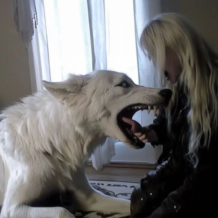 Profile Picture of wülf (@wulfcryy) on Tiktok