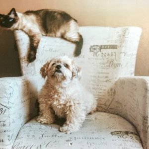 Profile Picture of Michael Burleigh (@MichaelBurleig6) on Twitter