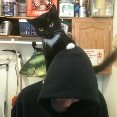 Profile Picture of Debbie Halverson (@Dchalverson) on Twitter