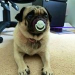 Profile Picture of Michael Mantel (@mantel6404) on Instagram