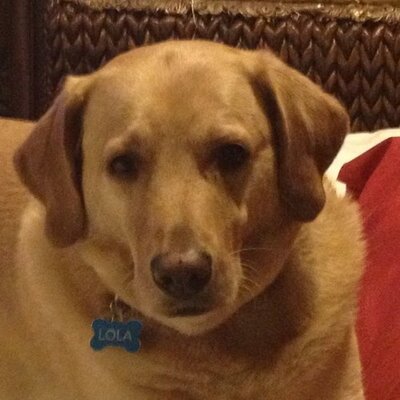 Profile Picture of Dillon Hansen (@hansen_dillon) on Twitter