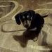 Profile Picture of Lora Ross Lora Ross (@loraross.loraross.5) on Facebook