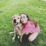 Rocky Bear - Instagram Profile Picture of Rocky Bear (@rocky_bear12) on Instagram