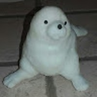 Daniela Galli - Quora Profile Picture of Daniela Galli (@daniela-galli-4) on Quora