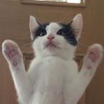 Profile Picture of seth booth (@booth_prv) on Instagram