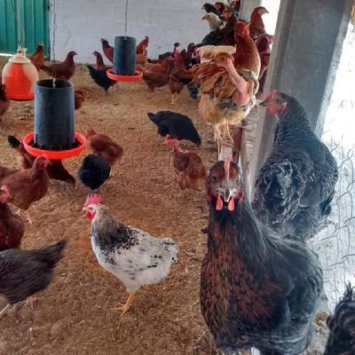 Lorenza Martinez - Twitter Profile Picture of Lorenza Martinez (@lorenza_mar87) on Twitter