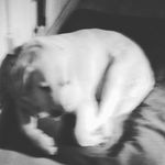 Profile Picture of Rowan Grant (@rainbow_girl1234444) on Instagram