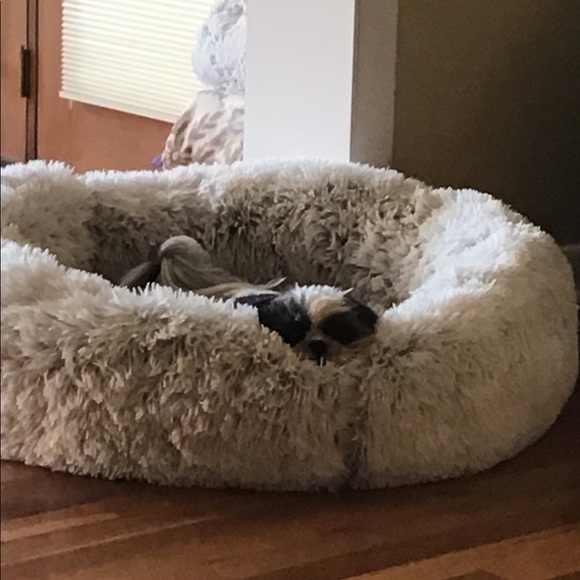 Amy Wilkinson - Poshmark Profile Picture of Amy Wilkinson (@blue062021) on Poshmark