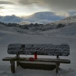 Profile Picture of Lisa Ingebrigtsen Skjerve (@lisaing84) on Instagram