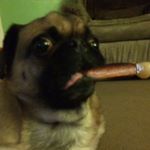 Eric Widmann - Instagram Profile Picture of Eric Widmann (@ericwidmann) on Instagram