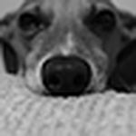 Profile Picture of Jeffery.stewart16 (@jeffery.stewart16) on Flickr