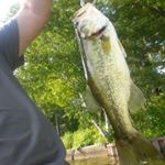Profile Picture of Dan Shuler (@danshuler) on Instagram