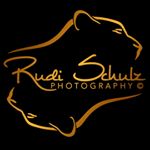 Profile Picture of Rudi Schulz Photography 🐾 (@rudischulzphotography) on Instagram