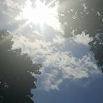 Profile Picture of Genine Nealy (@neen_626) on Instagram