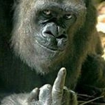 Profile Picture of Michael Jesch (@jeschmichael) on Instagram