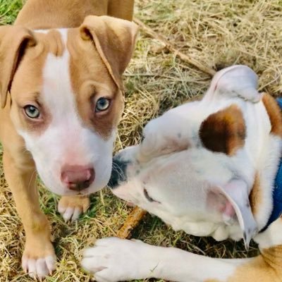 Profile Picture of Terry Fowler (@terryfo07436014) on Twitter