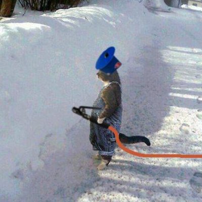 Profile Picture of Eric Varnell (@evarnell) on Twitter