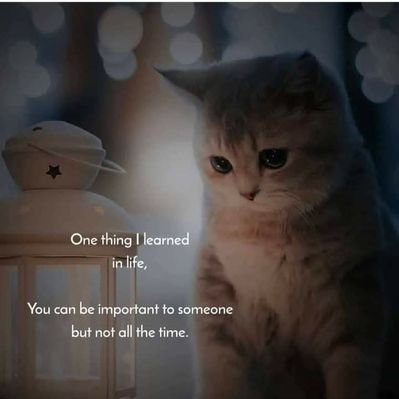 Profile Picture of Len Ming Ching (@glendatoribio) on Twitter