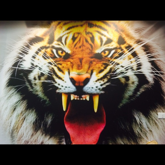 Profile Picture of Danielle Croom (@edcroom00) on Poshmark