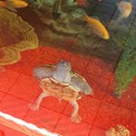 Profile Picture of Jonathan L Mahoney (@mahoneyjonathan) on Instagram