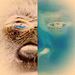 Profile Picture of Paul Gandy (@ptgandy1) on Pinterest