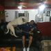 Profile Picture of Nestor Montero (@nestor.montero.31) on Facebook