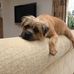 Profile Picture of Hamlet George (@hamlet.mireval.5) on Facebook