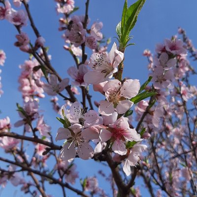 Profile Picture of Zhao Mei Ren (@zhao_mei_ren10) on Twitter