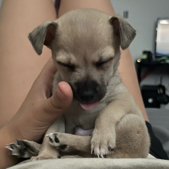 Rihanna Radder - Poshmark Profile Picture of Rihanna Radder (@rayray688) on Poshmark