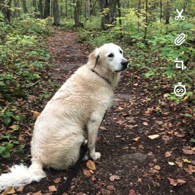 Profile Picture of Jeff Oswald (@jeffoswald12) on Twitter