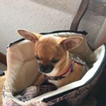 Profile Picture of Josette François Girardot (@josettegirardot) on Instagram