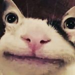 Profile Picture of Max Zimny (@maxzimny) on Instagram