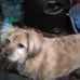 Profile Picture of Janet Macdougall (@janet.macdougall.31) on Facebook