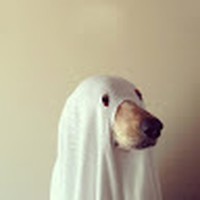 Profile Picture of Logan Cluff (@logan-cluff-5) on Quora