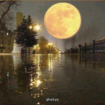 Profile Picture of AymanHamdan (@AymanHamdan1984) on Twitter