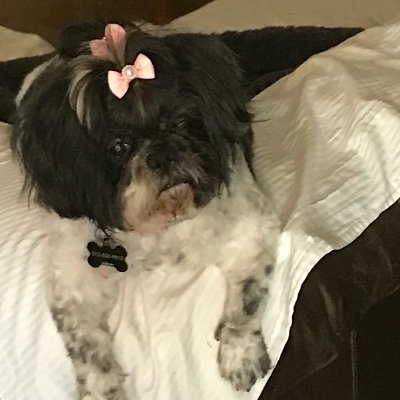 Profile Picture of Aaron Whitelock (@AaronWhitelock) on Twitter