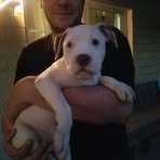 Profile Picture of Mike Frankenfield (@mike.frankenfield.1) on Facebook