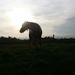Profile Picture of kim visser (@kimv0274) on Pinterest