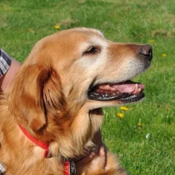 Profile Picture of Elaine Durlin (@wheelhorse2) on Poshmark