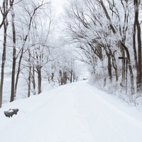 Profile Picture of Clara Maclise (@clara-maclise) on Quora