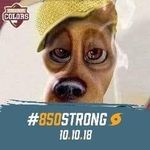 Profile Picture of Randy Hernandez (@seminoles1fan69) on Instagram