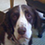 Profile Picture of Bill Walsh (@Bill Walsh1) on Flickr