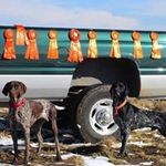 Profile Picture of Robert T. Swezey (@tomswezey) on Instagram