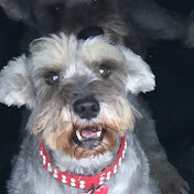 Profile Picture of Michelle Joseph (@michellejoseph7803) on Youtube