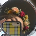 Profile Picture of Bianca Starcher (@bstarcher) on Instagram