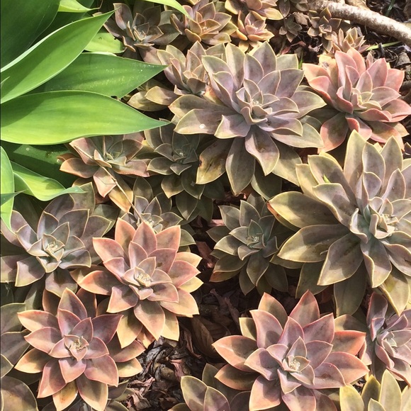 Profile Picture of Key Key (@keelymairs) on Poshmark